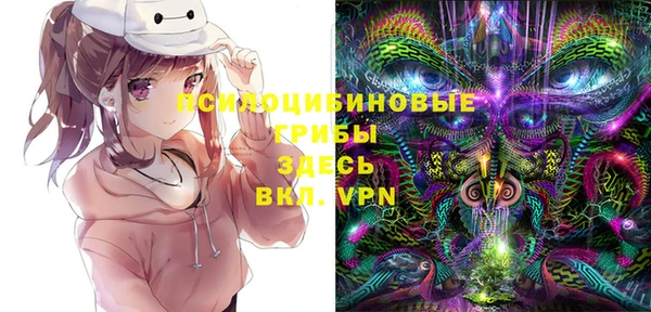 соль ск Козловка
