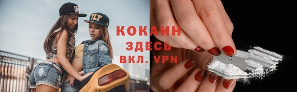 соль ск Козловка