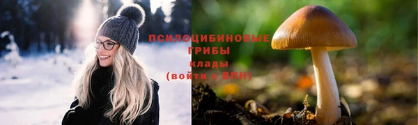 mdma Кодинск