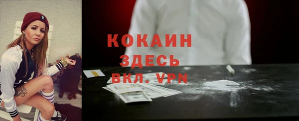 соль ск Козловка