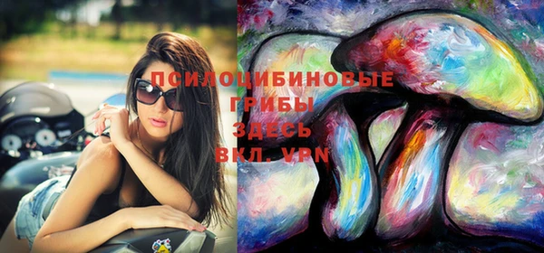 соль ск Козловка