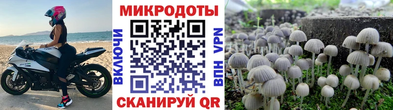 Галлюциногенные грибы мухоморы  купить наркоту  Кирс 