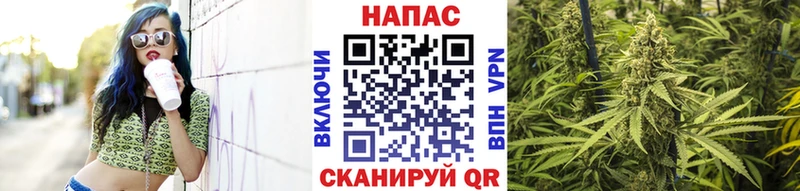 Бошки Шишки индика  магазин    Кирс 